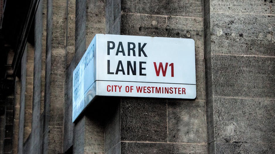 W1 rubbish collection guide for Harley Street residents